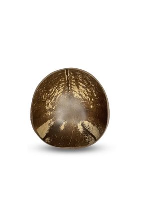 کاسه قهوه ای 500 - 999 میلی لیتر Coconut Products - کد 456986159