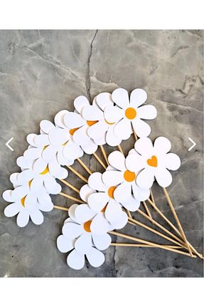 ست پارتی / مهمانی رنگی Hiras Dizayn - کد 900279174