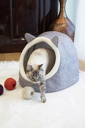  طوسی GOBYPET - کد 358811831