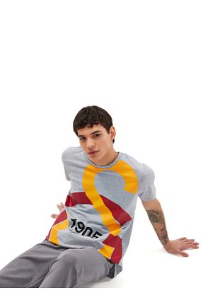 تیشرت رنگی مردانه رگولار Galatasaray - کد 805927086