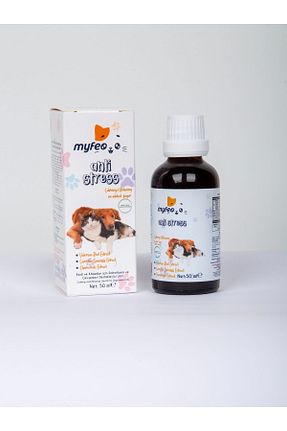  Damla MYFEO - کد 806785643