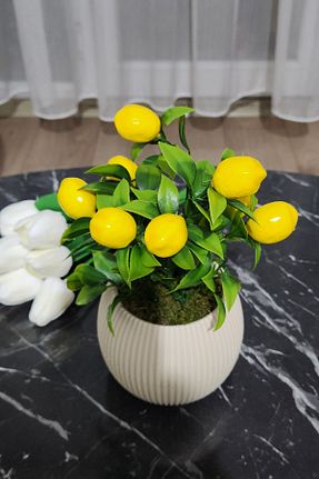 گل خشک و مصنوعی بژ LUZAB - کد 920408691