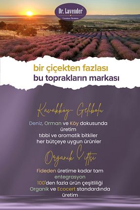  Gallipoli Lavender - کد 80058222