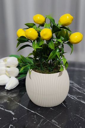 گل خشک و مصنوعی بژ LUZAB - کد 920408691