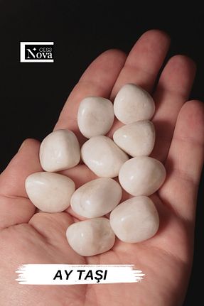 اجسام تزئینی و بیبلو سفید CessNova - کد 900699753