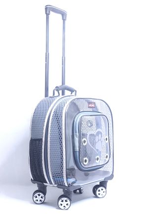  طوسی Migno - کد 901797295