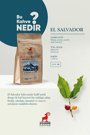 قهوه فیلتر و دانه Gourme Coffee - کد 796086629