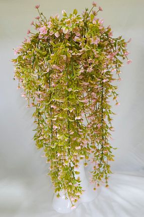 گل خشک و مصنوعی صورتی MD Aspiz Flowers - کد 902553793