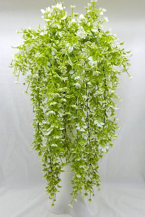 گل خشک و مصنوعی سفید MD Aspiz Flowers - کد 902530016