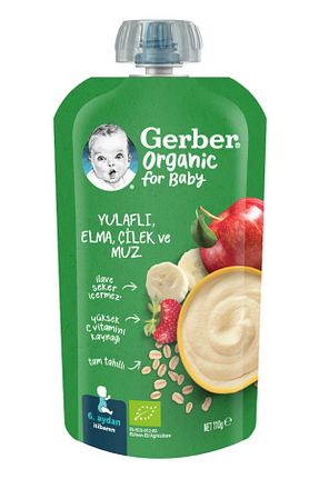 سایز تغذیه های مکمل کودک Gerber - کد 833506009