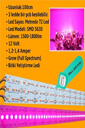 چراغ LED رنگی Digielektro - کد 901439309