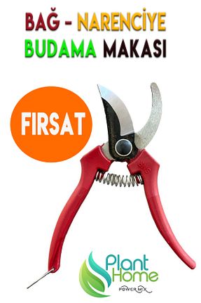 باغچه سرگرمی Plant Home Power Mix - کد 901645158