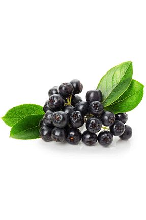چای فله ای balkanberries - کد 896908707