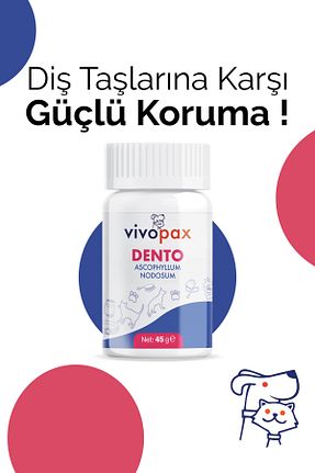  Vivopax - کد 712746385