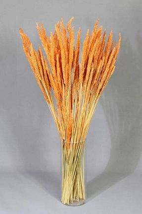 گل خشک و مصنوعی رنگی Dekorsende - کد 682732617