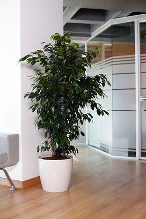 گلدان فیروزه ای KıtayGroup - کد 68824880