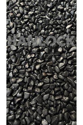 دکوراسیون و اکسسوری اکواریوم AHS - کد 902345349