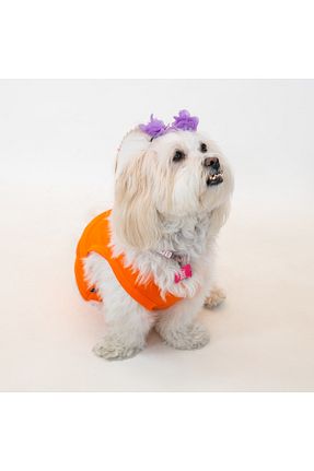 نارنجی Buddy Store - کد 900733699