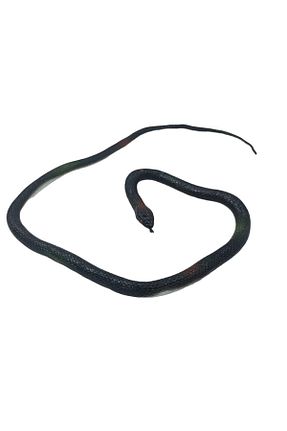 اسباب بازی فیگور حیوانات tmtoysandmore - کد 369316544