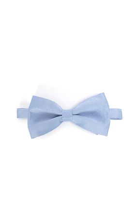 پاپیون آبی مردانه Pierre Cardin - کد 903765247