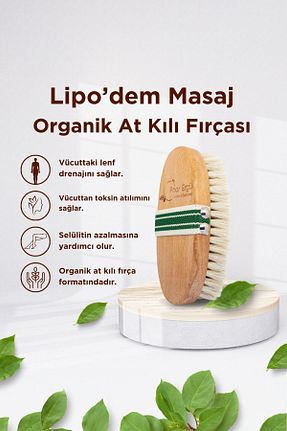 براش سلولیت Diyetisyen Pınar Ergül - کد 829174736