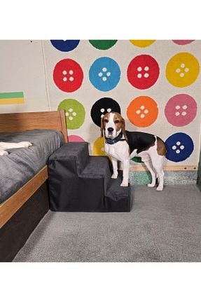  مشکی Holidog - کد 903021309