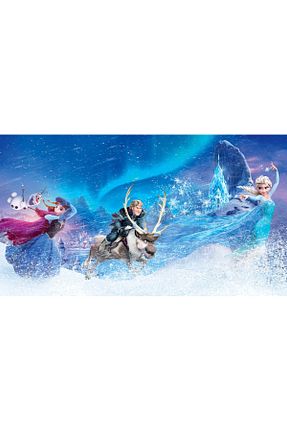 اکسسوری عکاسی و فیلم برداری رنگی Nişantaşı Grup - کد 903209100