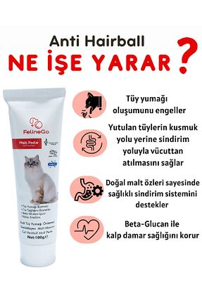  Macun FelineGo - کد 894053085