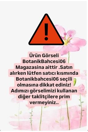 گیاهان داخل ساختمان Genel Markalar - کد 166183148