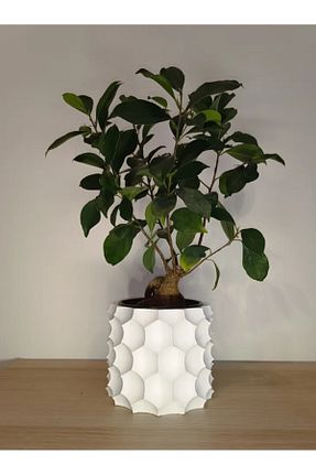 گلدان سفید Rapithwin - کد 903891017