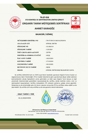 زیتون سیاه Boztepe - کد 905762283