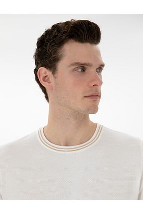 تیشرت نباتی مردانه اسلیم فیت Pierre Cardin - کد 904723175