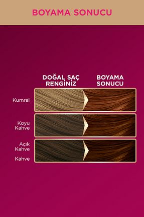 رنگ مو قهوه ای Palette - کد 40660461