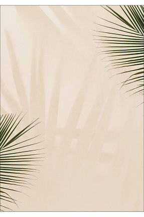 اکسسوری عکاسی و فیلم برداری رنگی FOTTOFON - کد 838748374
