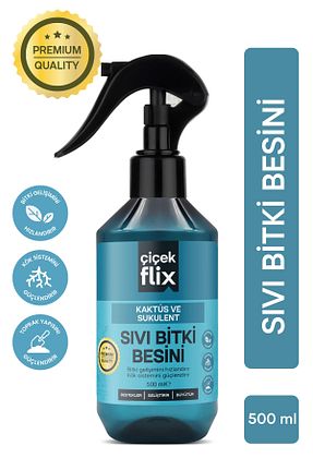 تراریوم و ساکولنت ÇİÇEKFLİX - کد 917361830