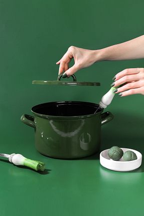 قابلمه سبز قابل استفاده بر روی اجاق القایی EMAYlab - کد 852514270