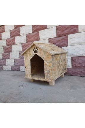  ODUNN RENGİ - کد 904906651