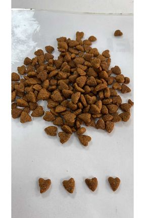 غذای خشک گربه خیر Dark - کد 764362964