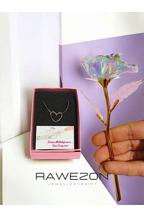 هدیه مفهومی RAWEZON - کد 896984425