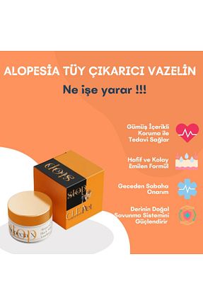  Cleapet - کد 891782867