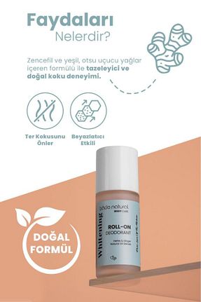 دئودورانت و رول آن زنانه Bade Natural - کد 796986164