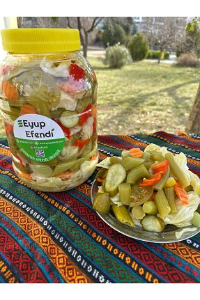 ترشی eyup efendi - کد 905498157
