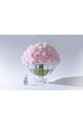 خوشبو کننده هوا عطر دار BUON ODORE - کد 877682633