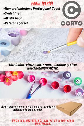 بوم Corvo - کد 905926921