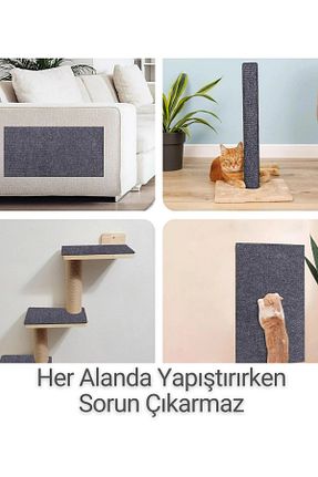  طوسی BEYLİNİ - کد 874943934
