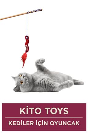  قرمز kito - کد 889931094