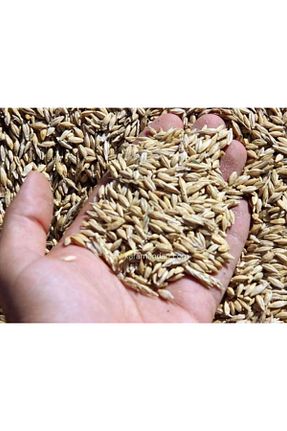 سایر حبوبات خشک Asi - کد 920837762