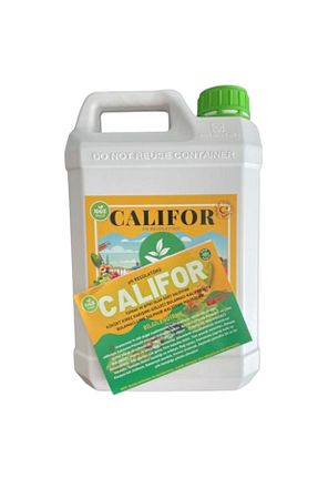 گیاهان داخل ساختمان Califor - کد 894282606