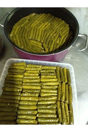 برگ درخت انگور ÇİFTLİK - کد 921233759