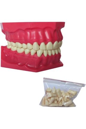 لوازم آزمایشگاه Ankaflex - کد 60738714